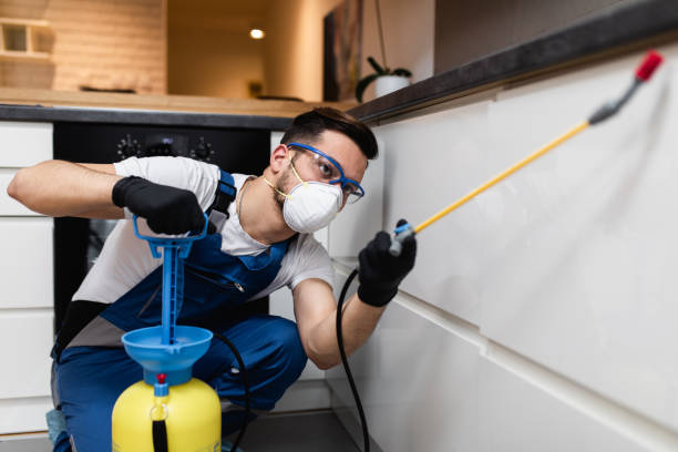 Best Pest Inspection Near Me  in Twain Harte, CA