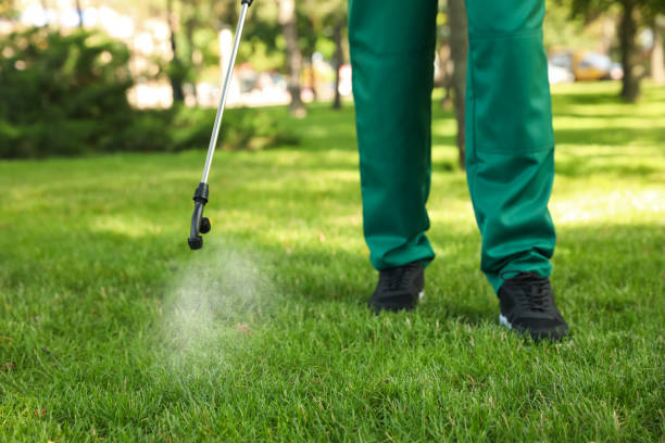 Professional Pest Control in Twain Harte, CA