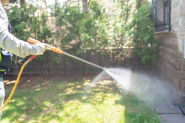 Best Local Pest Control Services  in Twain Harte, CA