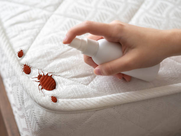 Best Commercial Pest Control Services  in Twain Harte, CA